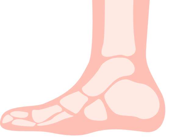 Reason Behind Flat Feet